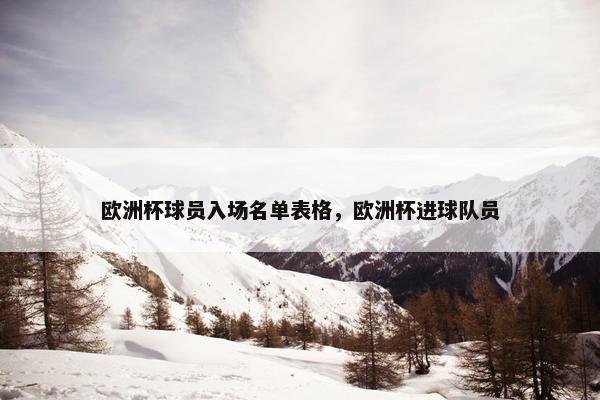 欧洲杯球员入场名单表格，欧洲杯进球队员