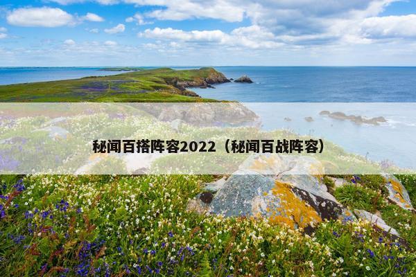 秘闻百搭阵容2022（秘闻百战阵容）