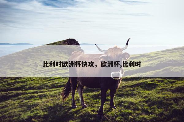 比利时欧洲杯快攻，欧洲杯,比利时