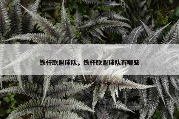 铁杆联盟球队，铁杆联盟球队有哪些
