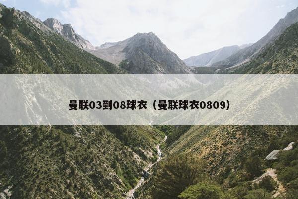 曼联03到08球衣（曼联球衣0809）