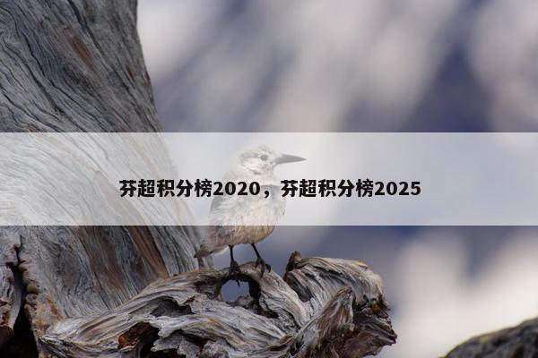芬超积分榜2020，芬超积分榜2025