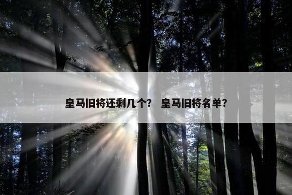 皇马旧将还剩几个？ 皇马旧将名单？