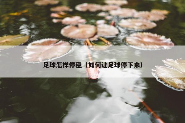 足球怎样停稳（如何让足球停下来）