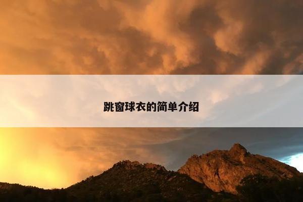 跳窗球衣的简单介绍