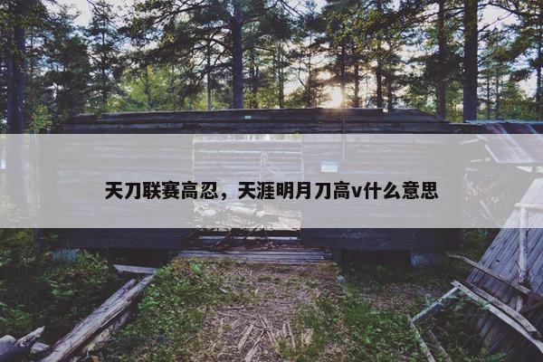 天刀联赛高忍，天涯明月刀高v什么意思