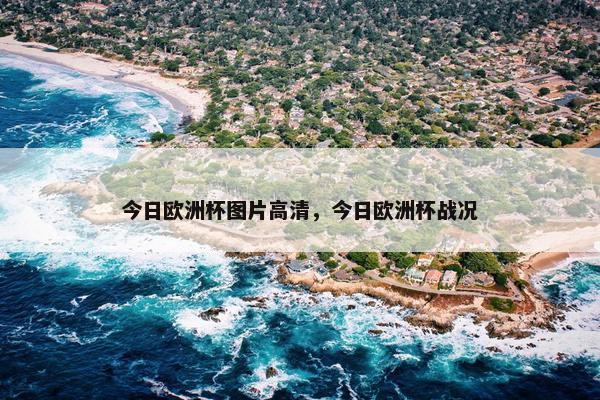 今日欧洲杯图片高清，今日欧洲杯战况