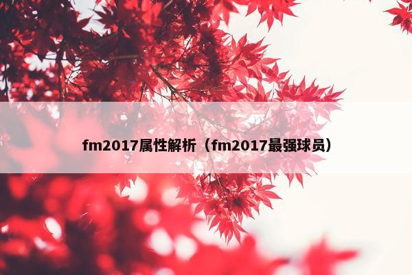 fm2017属性解析（fm2017最强球员）