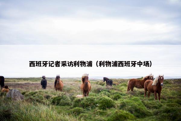 西班牙记者采访利物浦（利物浦西班牙中场）