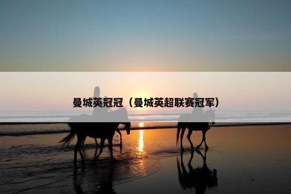 曼城英冠冠（曼城英超联赛冠军）