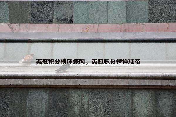 英冠积分榜球探网，英冠积分榜懂球帝