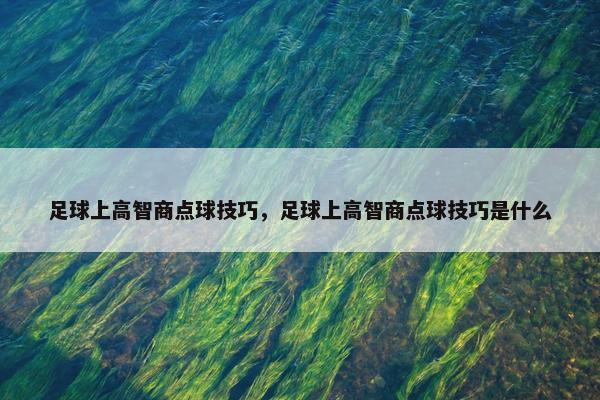 足球上高智商点球技巧，足球上高智商点球技巧是什么