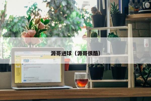 源哥进球（源哥很酷）