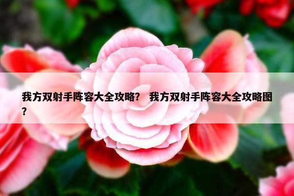 我方双射手阵容大全攻略？ 我方双射手阵容大全攻略图？