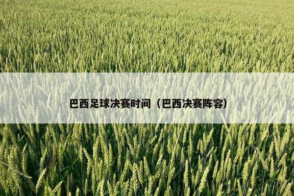 巴西足球决赛时间（巴西决赛阵容）