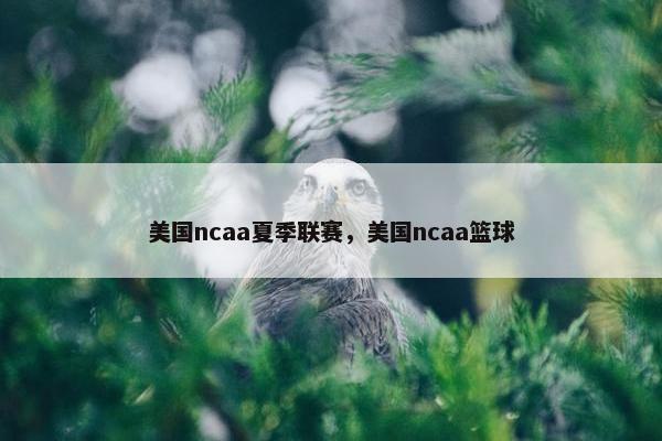 美国ncaa夏季联赛，美国ncaa篮球