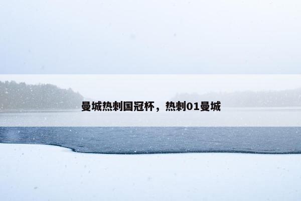 曼城热刺国冠杯，热刺01曼城