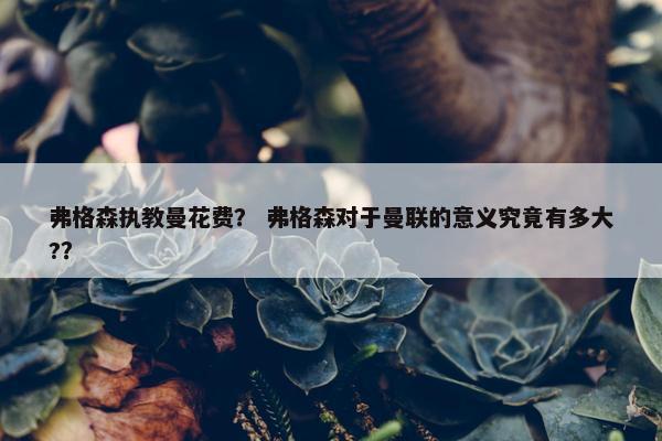 弗格森执教曼花费？ 弗格森对于曼联的意义究竟有多大?？