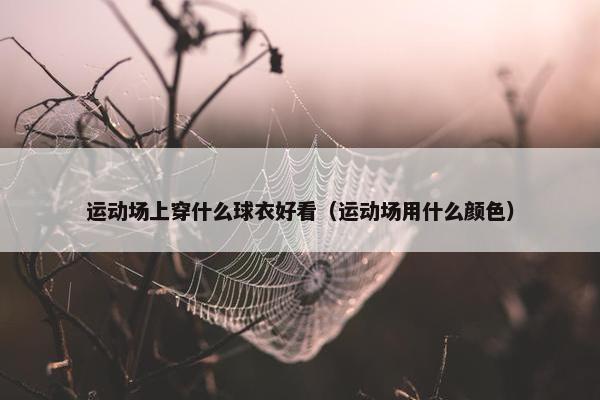 运动场上穿什么球衣好看（运动场用什么颜色）