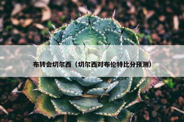 布转会切尔西（切尔西对布伦特比分预测）