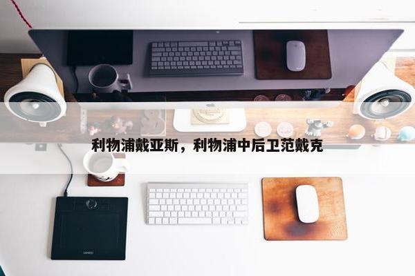 利物浦戴亚斯，利物浦中后卫范戴克