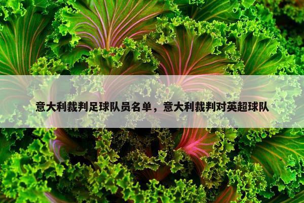 意大利裁判足球队员名单，意大利裁判对英超球队
