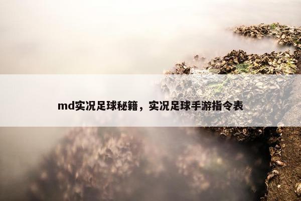 md实况足球秘籍，实况足球手游指令表