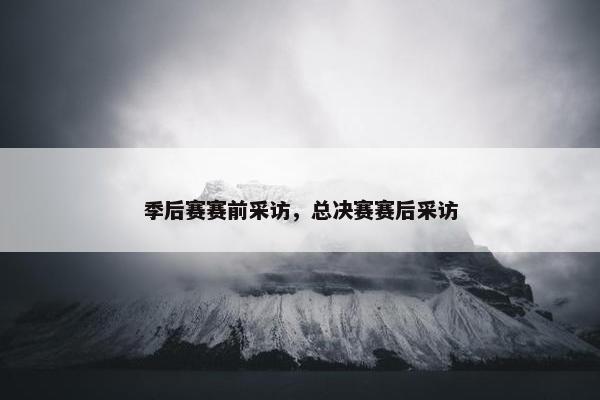 季后赛赛前采访，总决赛赛后采访