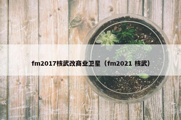 fm2017核武改商业卫星（fm2021 核武）