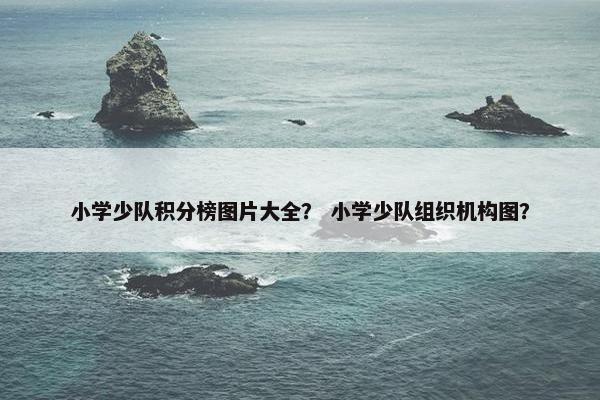 小学少队积分榜图片大全？ 小学少队组织机构图？