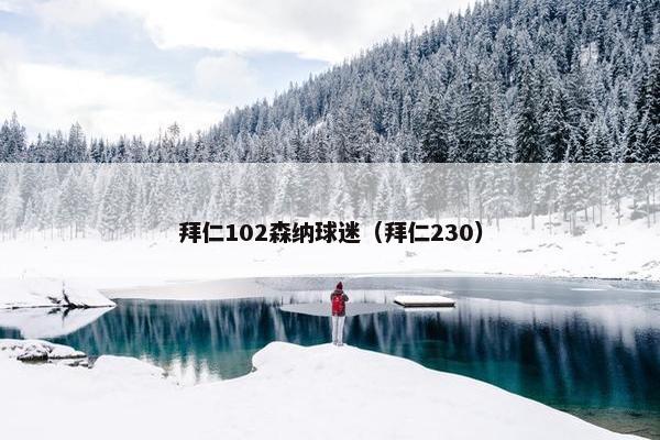 拜仁102森纳球迷（拜仁230）