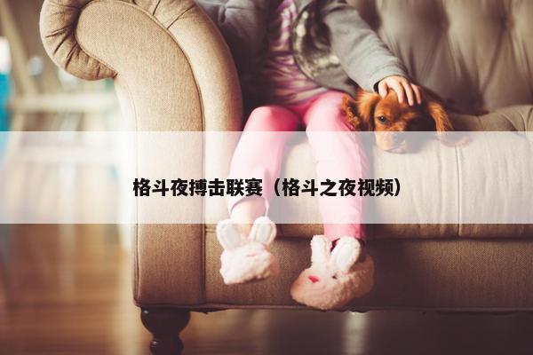 格斗夜搏击联赛（格斗之夜视频）