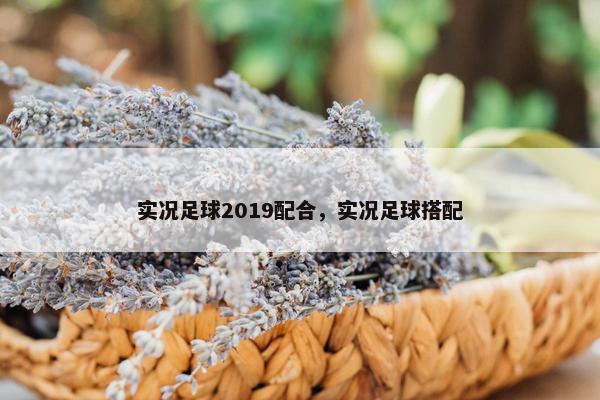 实况足球2019配合，实况足球搭配
