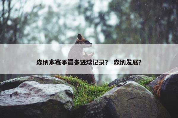 森纳本赛季最多进球记录？ 森纳发展？