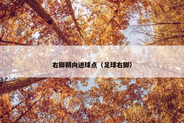 右脚朝向进球点（足球右脚）