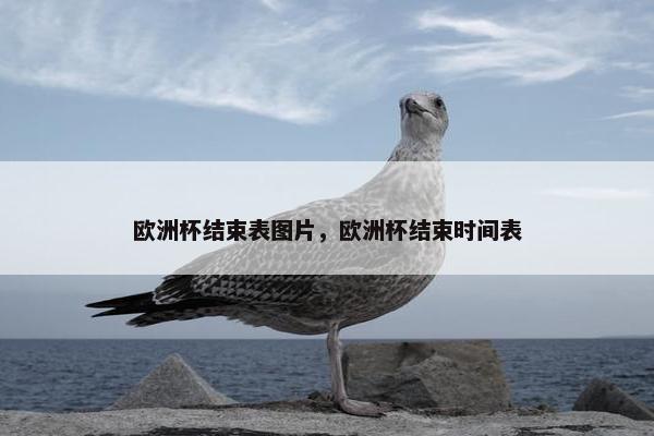 欧洲杯结束表图片，欧洲杯结束时间表