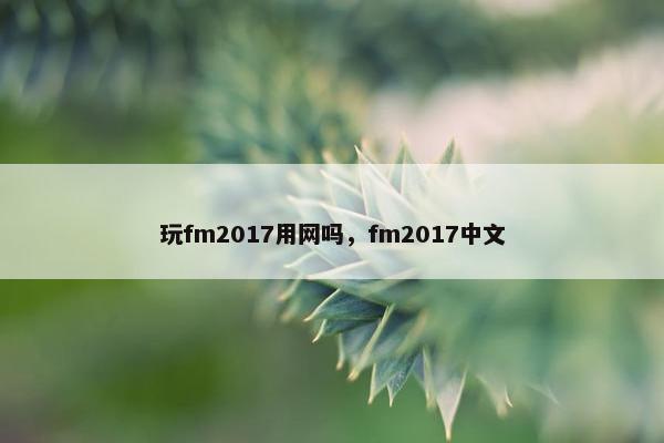 玩fm2017用网吗，fm2017中文
