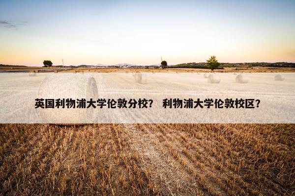 英国利物浦大学伦敦分校？ 利物浦大学伦敦校区？