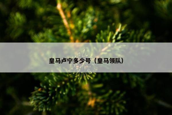 皇马卢宁多少号（皇马领队）