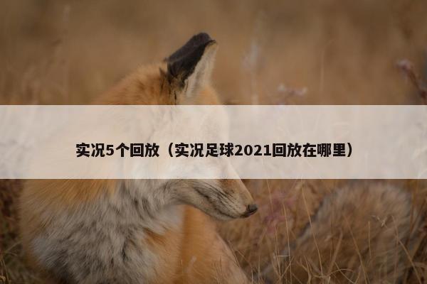 实况5个回放（实况足球2021回放在哪里）