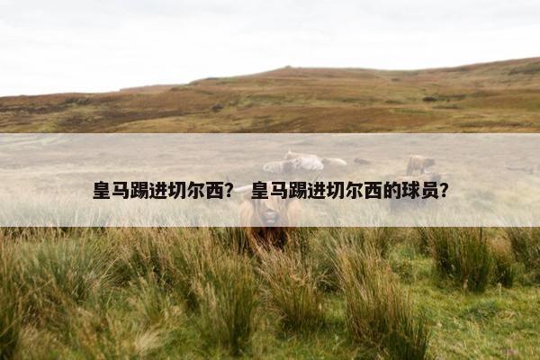 皇马踢进切尔西？ 皇马踢进切尔西的球员？