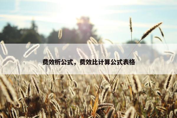 费效析公式，费效比计算公式表格