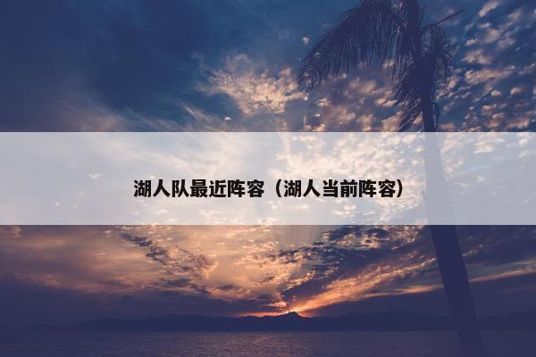 湖人队最近阵容（湖人当前阵容）