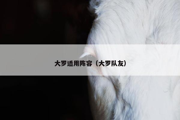 大罗适用阵容（大罗队友）