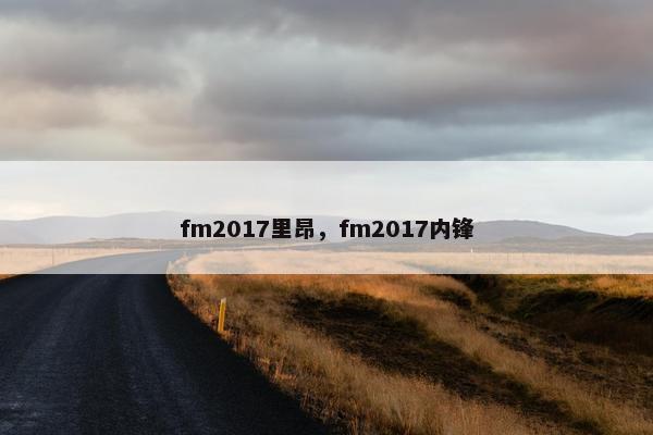 fm2017里昂，fm2017内锋