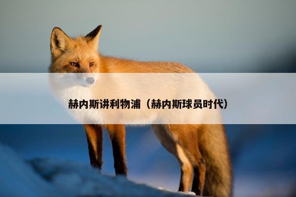 赫内斯讲利物浦（赫内斯球员时代）