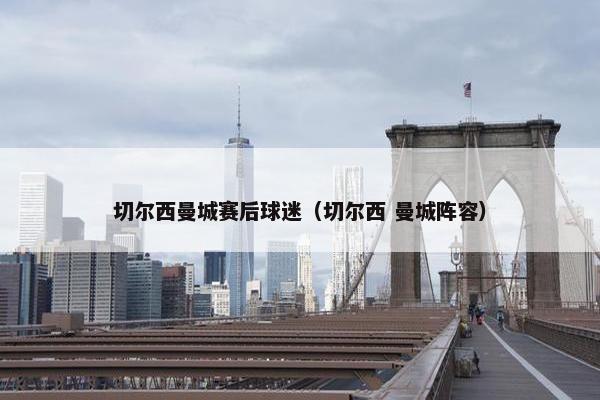 切尔西曼城赛后球迷（切尔西 曼城阵容）