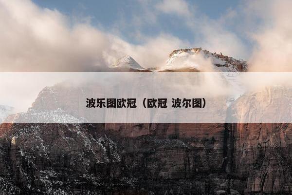 波乐图欧冠（欧冠 波尔图）
