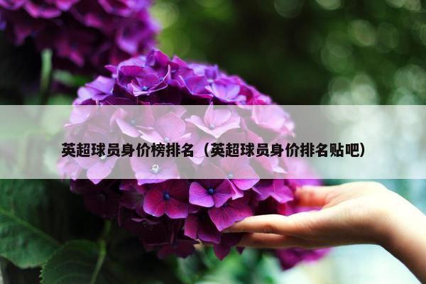 英超球员身价榜排名（英超球员身价排名贴吧）
