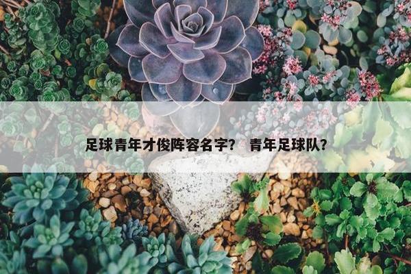 足球青年才俊阵容名字？ 青年足球队？